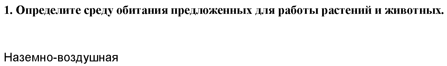 1 - решение