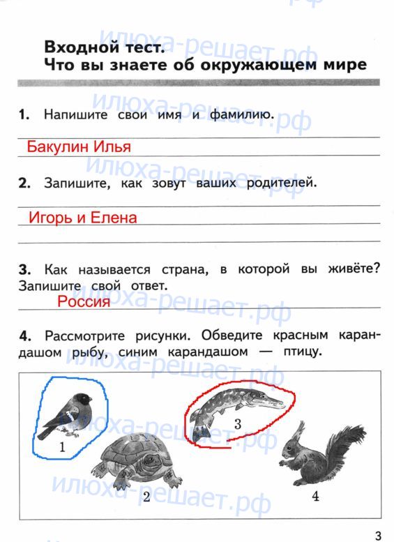 стр. 3 - решение