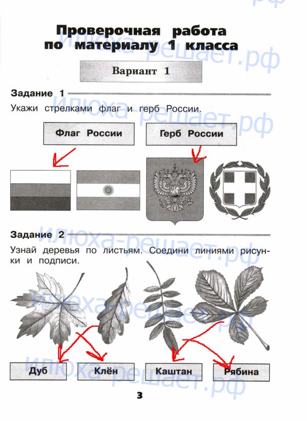 стр. 3 - решение
