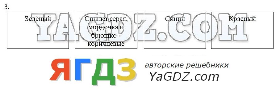 3 - решение