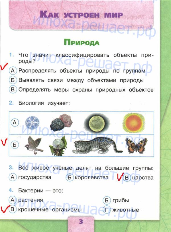 стр. 2 - решение