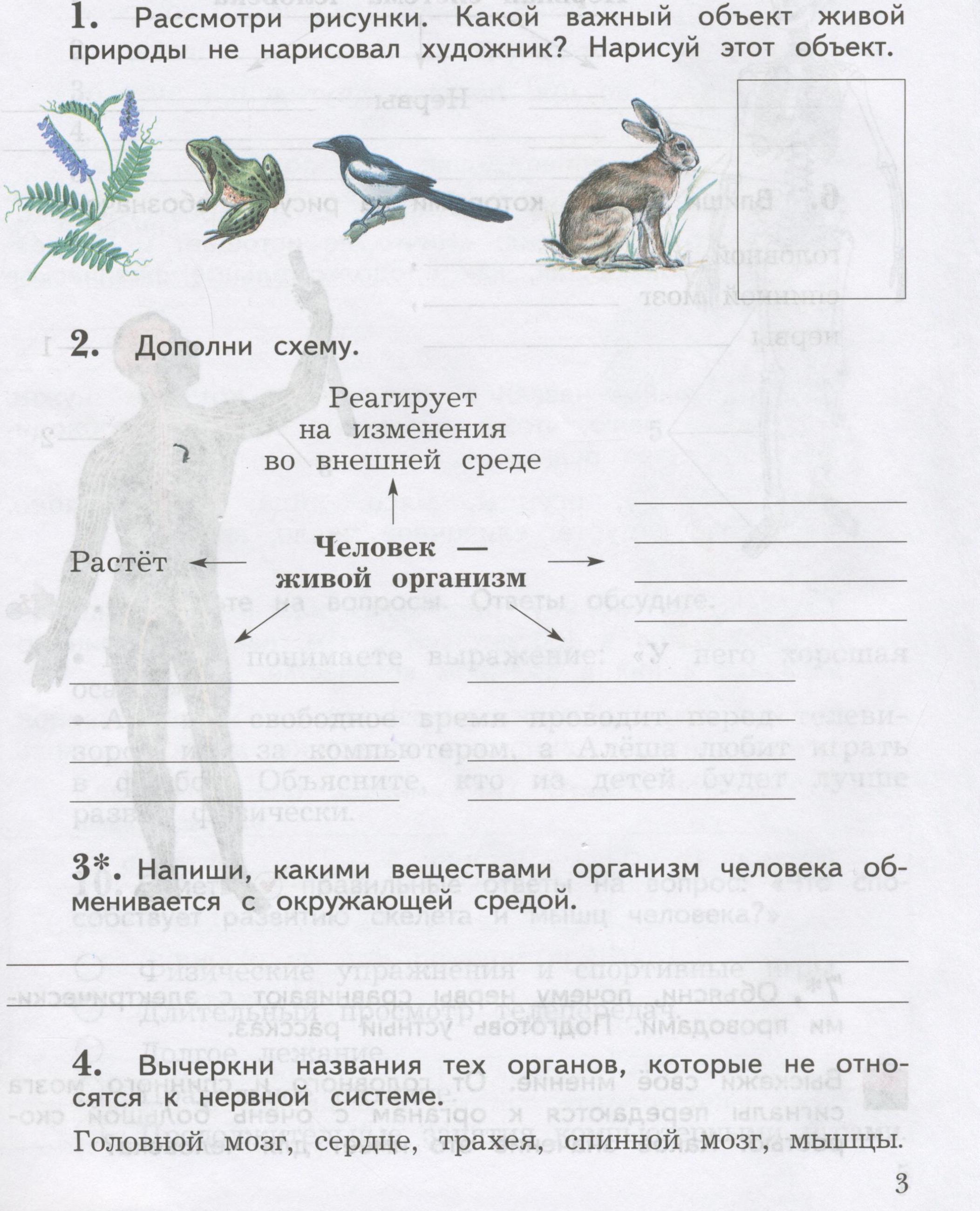 стр.3 - условие