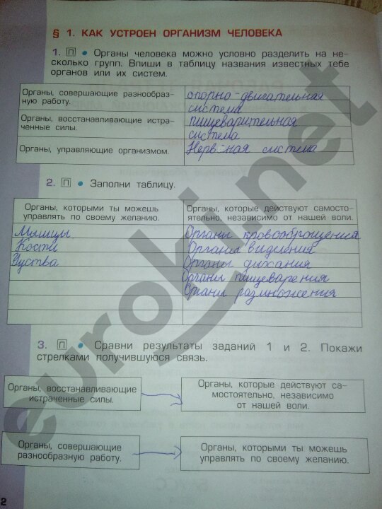 2 - решебник №2