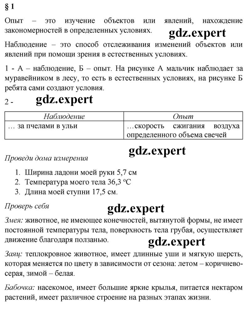 1 - решение
