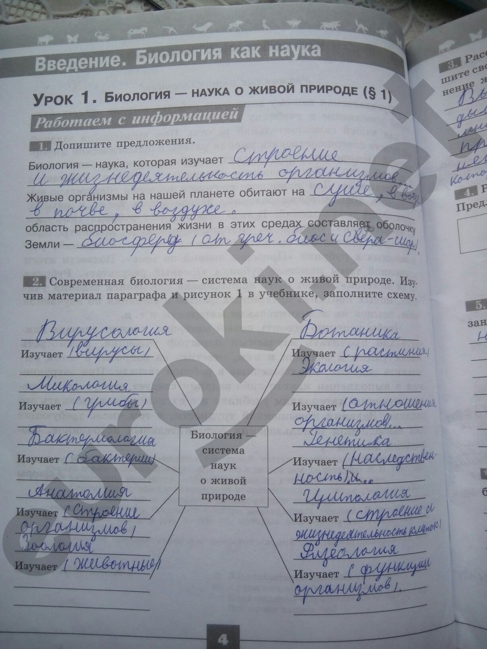4 - решебник №2