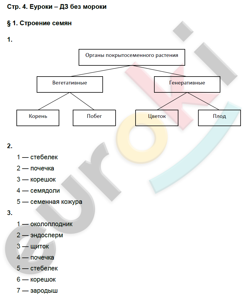 стр.4 - решебник №1 стр.4 - решебник №1