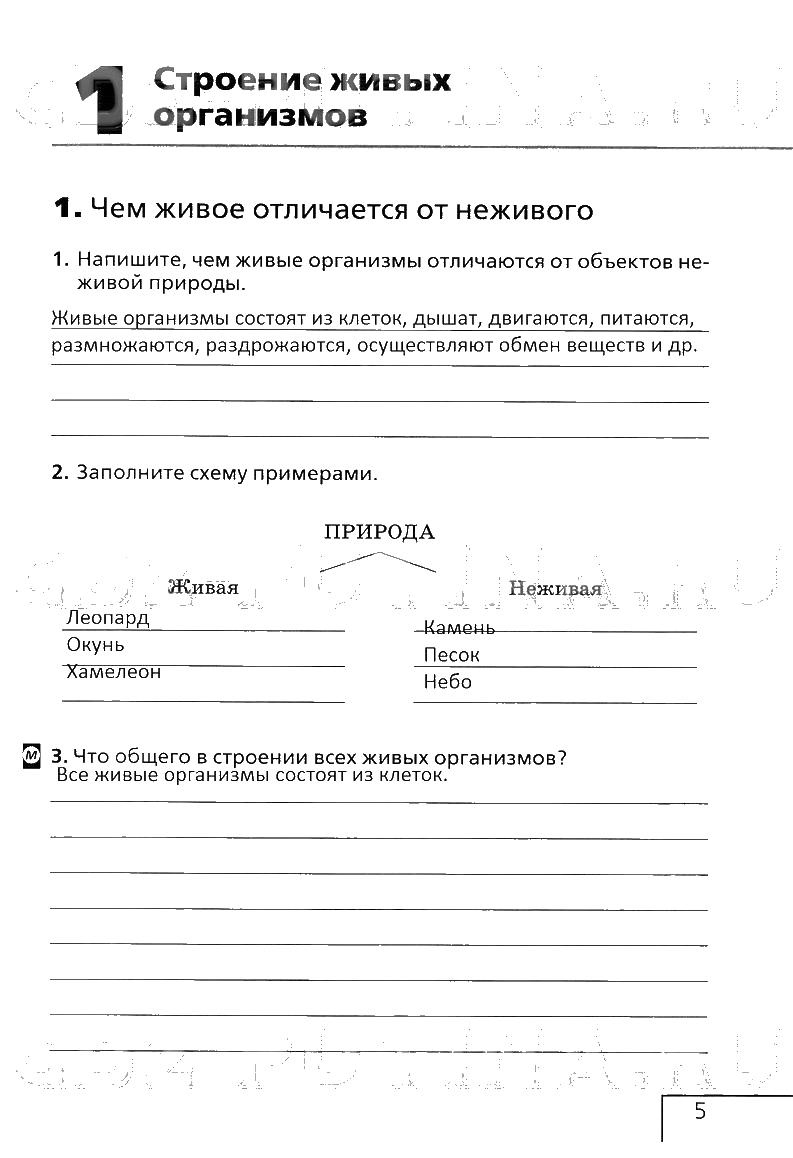 стр.5 - решение