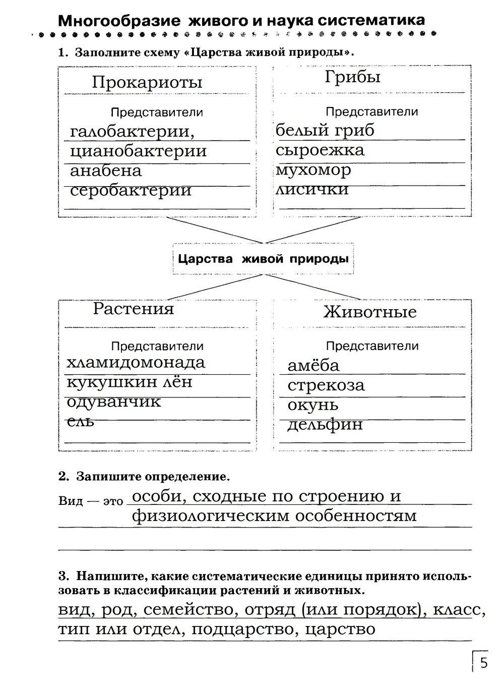 стр.5 - решение