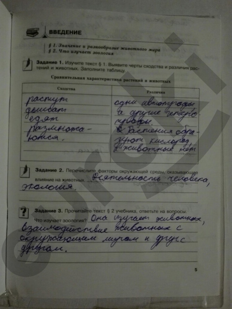 стр.5 - решение