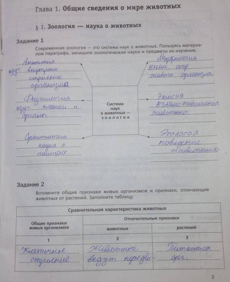 стр.3 - решение