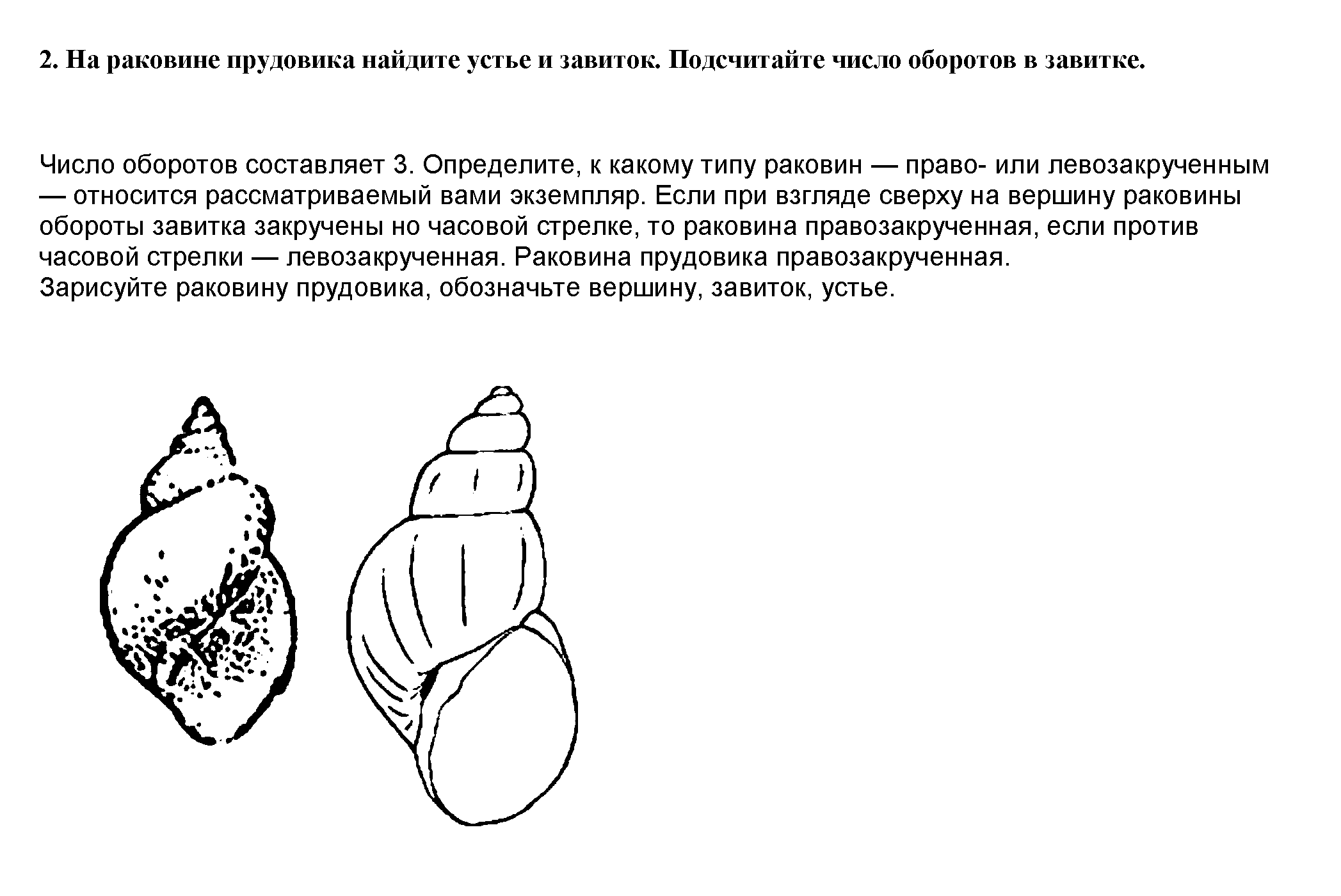 2 - решение