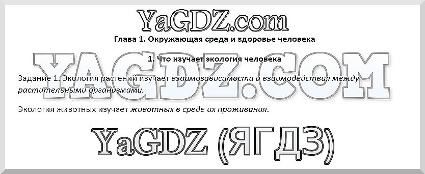 1 - решение